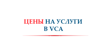 Цены на услуги 